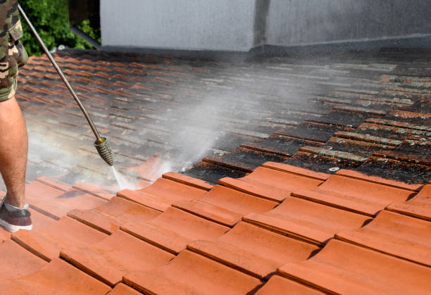 Trusted Gillespie, IL Pressure Washing Experts