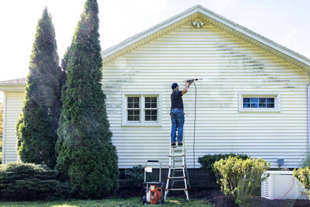 Best Concrete Pressure Washing  in Glespie, IL