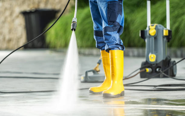 Best Pressure Washing Near Me  in Glespie, IL