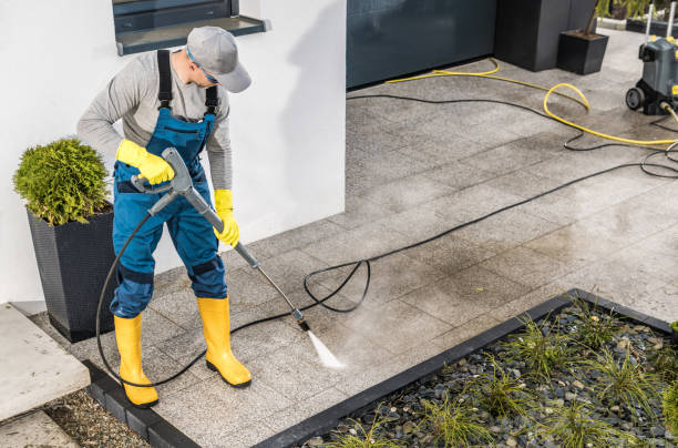 Best Pressure Washing Driveway  in Glespie, IL