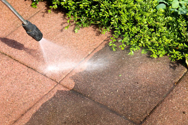 Best Deck Cleaning Services  in Glespie, IL